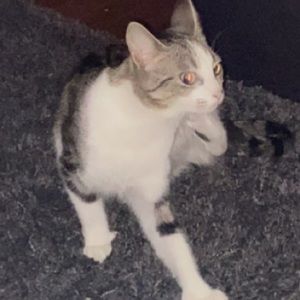 Meet your Posher, Dane